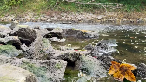 Flowing River Stock Footage 320831052
