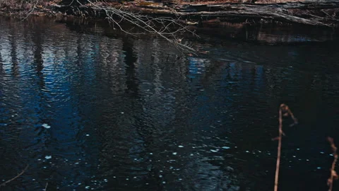 Flowing River Stock-Footage 331657376