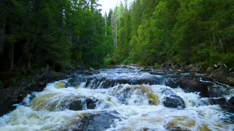 FLOWING RIVER IN THE FOREST 4K AREAL Stock Footage 249695397