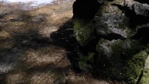 Flowing River In The Forest. Stock Footage 110772445