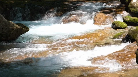 Flowing River In The Forest. Stock Footage 110772498