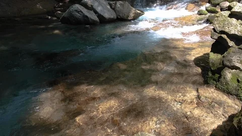 Flowing River In The Forest. Stock Footage 110772622