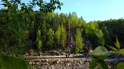 Flowing River in Forest Setting Stock Footage 275203340