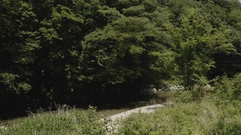 Flowing river in a forest in Tochigi Prefecture, Japan Video stock 110779588