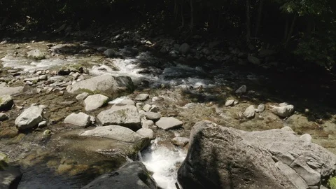 Flowing river in a forest in Tochigi Prefecture, Japan Stock Footage 110780404
