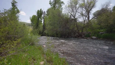 Flowing River in Forested Utah Stock Footage 310625219