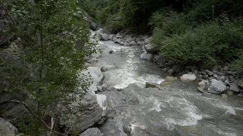 Flowing river in the forset , multiple clips - pan and tilt Stock Footage 93785337