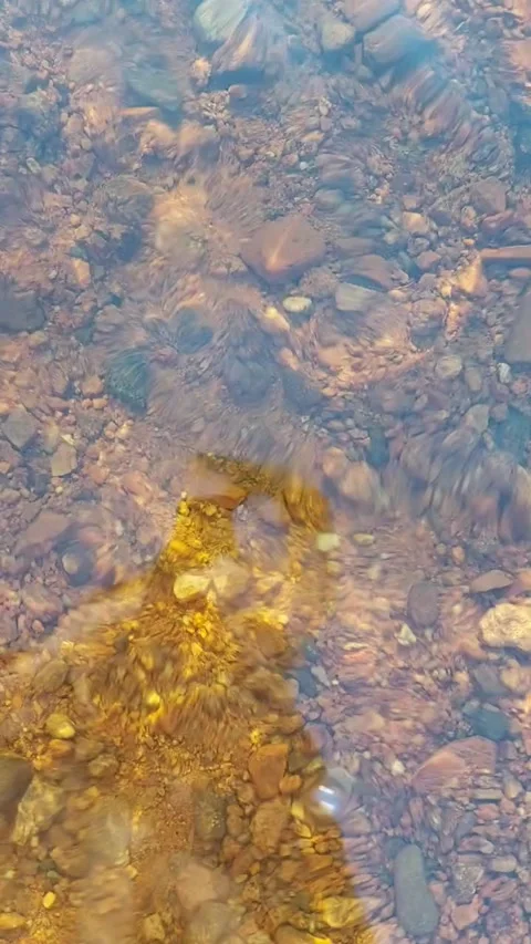 Flowing river with freshwater and bottom with pebbels Stock Footage 167480894