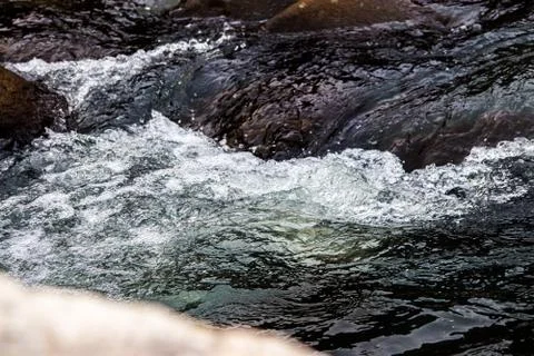 Flowing river having rocks in the river Fotos de archivo