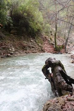 Flowing river landscape Foto stock