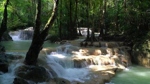 Flowing river in a lush forest with trees and greenery Stock Photos
