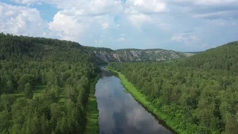 Flowing river meandering through a vibrant green forest 库存影片 287363505