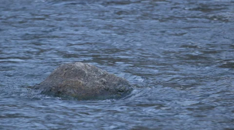 Flowing River  Medium 動画素材 27494439