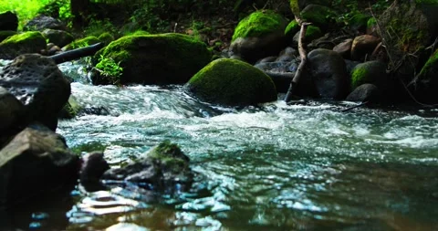 Flowing River Motion in Enchanted Forest Stock-Footage 249590608