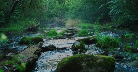 Flowing River Motion in Enchanted Forest Video stock 249590641