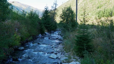 Flowing river in mountains, Tatry mountains, Slovakia Stock Footage 116150006