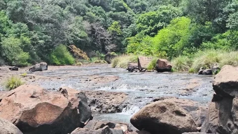 Flowing River Nature Landscape with Rocks Stock Footage 341010702
