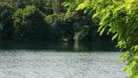 Flowing River with Old Gate in the Distance Stock Footage 161890772