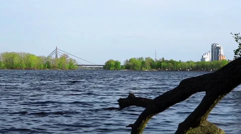 Flowing river, old tree branches and nature landscape Stock Footage 62509040