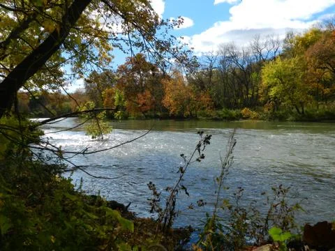 The flowing river Stock Photos