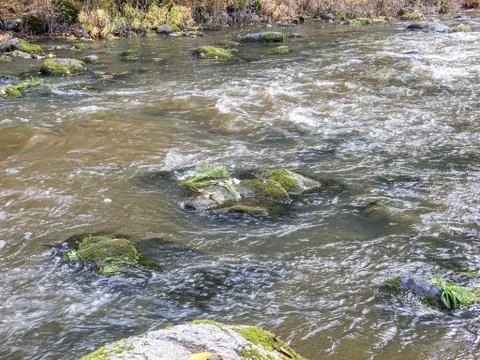 Flowing river Stock Photos