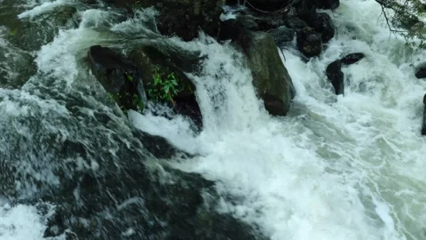 Flowing River Rapids Over Rocks Surrounded By Natural Greenery and Foliage,.. Stock Footage 310096813