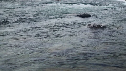 Flowing River Rapids with Rocks in Northern Wilderness Stock Footage 336010012