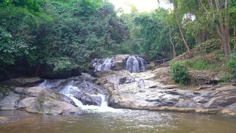 Flowing river with rocks and trees in a green forest Stock Photos