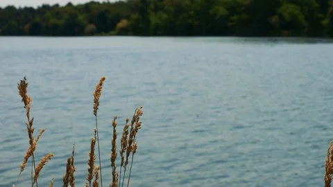 Flowing River Scenery Stock Footage 161885984