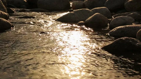 Flowing river shining in the setting sun. Stock Footage 51117566