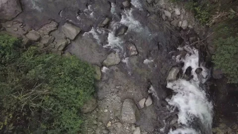 A Flowing River In Sikkim Jungle deep in the Himalayas Stock Footage