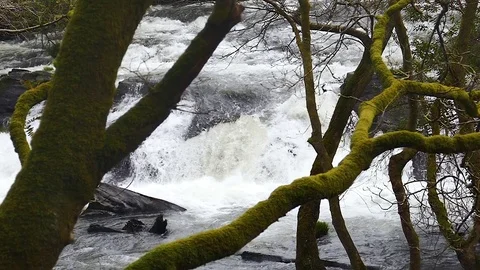 Flowing River in slow motion Vídeos de archivo 81127629