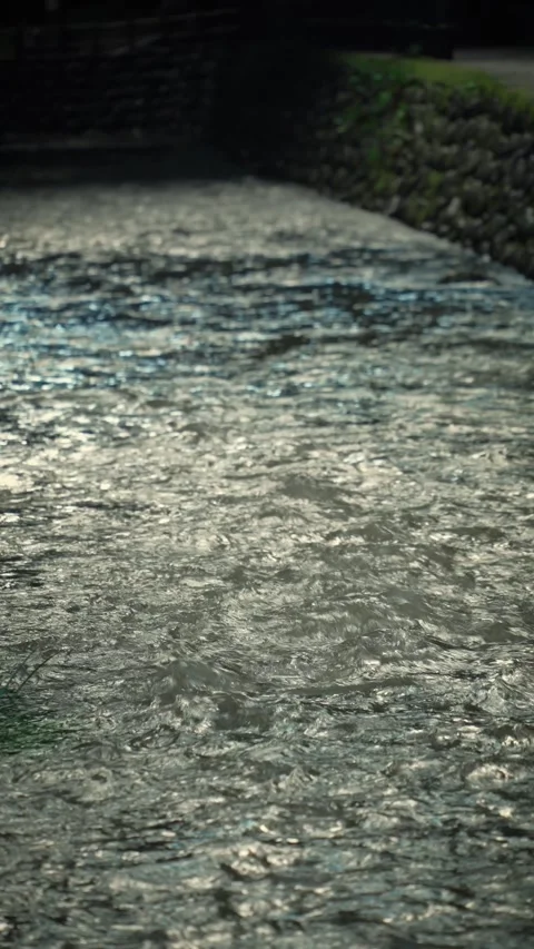 Flowing river with sparkling ripples and summer cicada sounds Vidéo 345780306