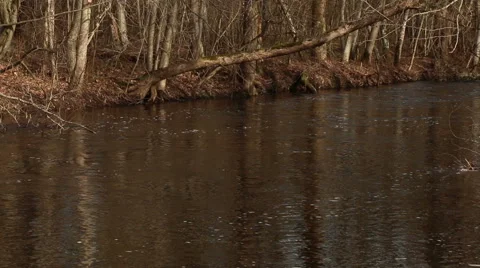 Flowing river in spring with flood water sunny day motion Stock Footage 48882510