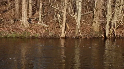 Flowing river in spring with flood water sunny day motion Stock Footage 48882554