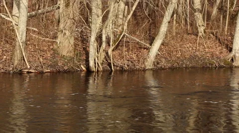 Flowing river in spring with flood water sunny day motion Stock Footage 48882659