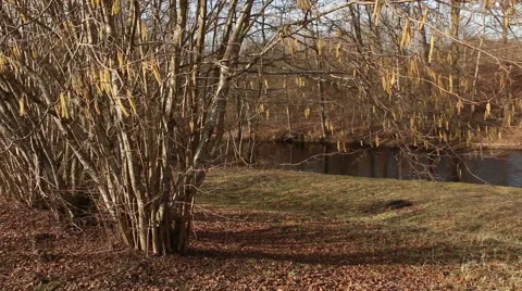 Flowing river in spring with flood water sunny day motion Stock Footage 48882871