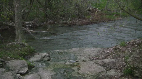 Flowing river in the spring Stock Footage 400752
