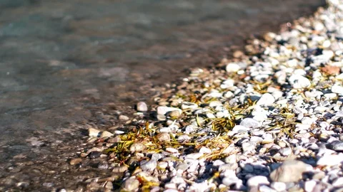 Flowing river with stones Stock Footage 98193693