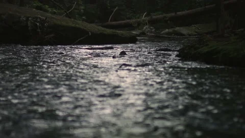 Flowing River Stream Stock Footage 132904751