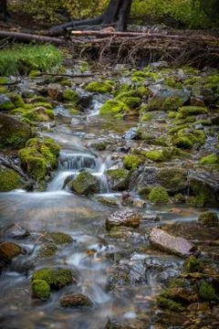 Flowing River Stream With Moss Covered Rocks Foto stock