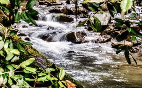 Flowing river stream water cascading over moss covered rocks in lush forest.. Фото
