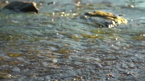 Flowing river on a summer day Stock Footage 133406567