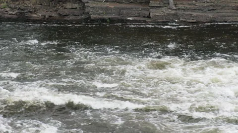 A flowing river in summer Vidéo 234535299