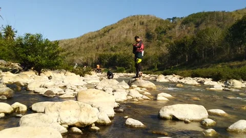 Flowing river in summer tilt up Video stock 169219095