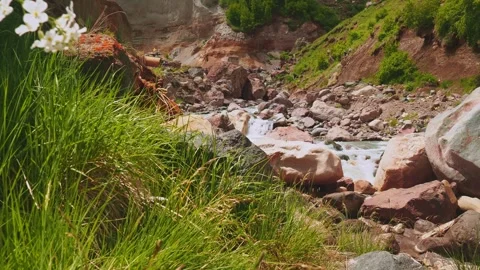 Flowing river surrounded by rocks and greenery in a tranquil natural setting Vídeos de archivo 313107555