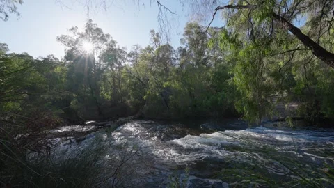 Flowing river surrounded by trees Stock Footage 346430710
