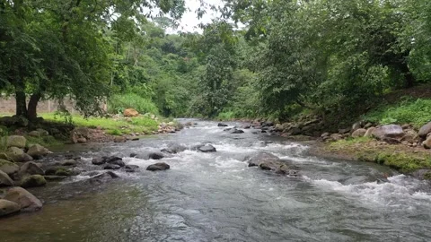 Flowing River in Tapachula Jungle Stockbeeldmateriaal 288391583