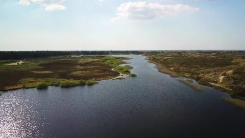 Flowing river through a natural area with trees and grass along the banks i.. Stock Footage 339934283