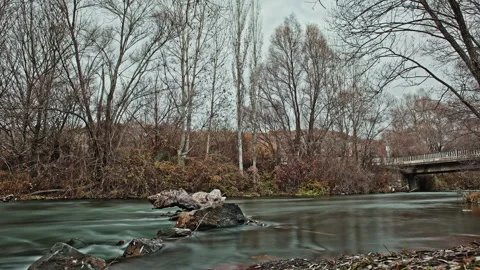 Flowing River Time-Lapse with Long Shutter Speed Effect, Winter Forest Stock Footage 323401928